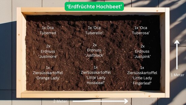 Bundle Gemüsebeet 'Erdfrüchte Hochbeet' Pflanzplan