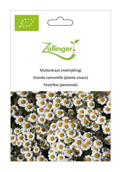 Mutterkraut (mehrj�hrig)