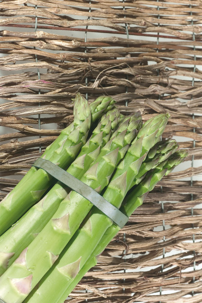 Gr�nspargel Lubera� VerteVite�