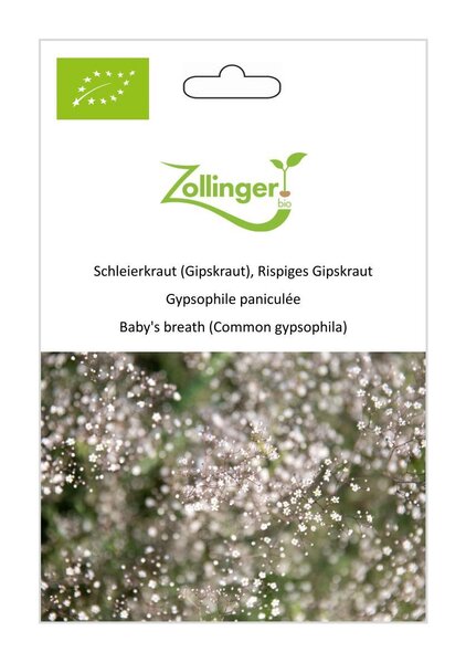 Schleierkraut (Gipskraut), Rispiges Gipskraut