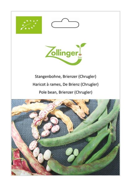Stangenbohne, Brienzer Chrugler