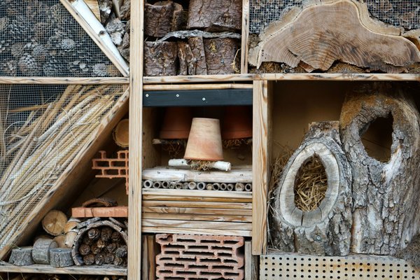 H&ocirc;tel &agrave; insectes pour divers animaux