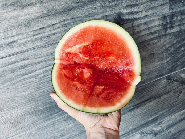 Past&egrave;ques sans p&eacute;pins, Citrullus lanatus, Lubera