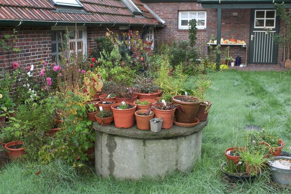 Un jardin propre en ordre ? Le jardin bien entretenu, un devoir social