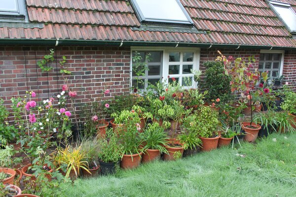 Un jardin propre en ordre ? Le jardin bien entretenu, un devoir social