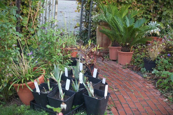 Un jardin propre en ordre ? Le jardin bien entretenu, un devoir social