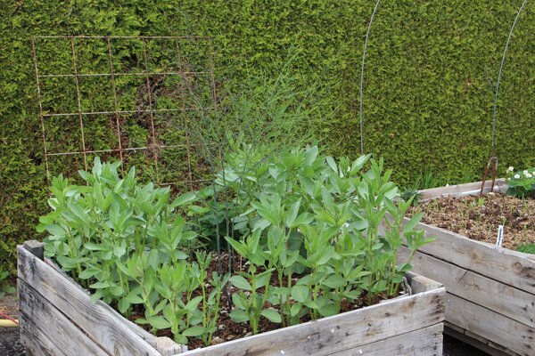 Jardin en plates-bandes sur&eacute;lev&eacute;es de Lubera, mai 2026