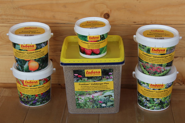 Engrais Fertiliser les groseilliers