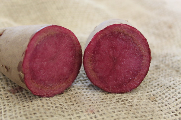 Pomme de terre Dunastar, coup&eacute;e, planter des pommes de terre en pot