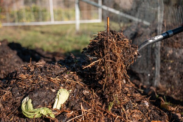 compost, humus, pr&eacute;server l'humidit&eacute; du sol, s&eacute;cheresse dans le jardin