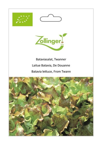 Schnittsalat, Twanner