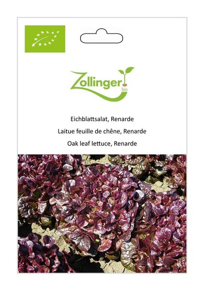 Eichblattsalat, Renarde
