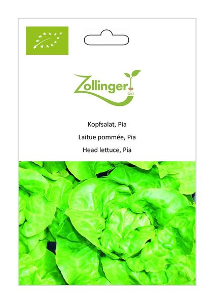 Kopfsalat, Pia