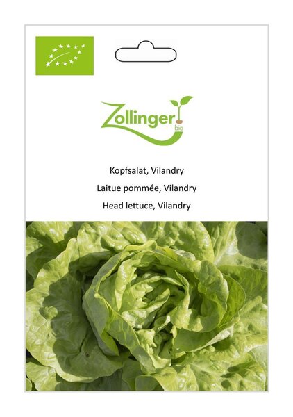 Kopfsalat, Vilandry