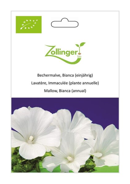 Bechermalve, Bianca (einj�hrig)