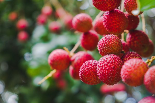 Litchis