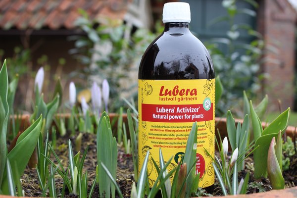 Lubera Activizer, EM, organismes efficaces, Multikraft, fertilisation en &eacute;t&eacute;