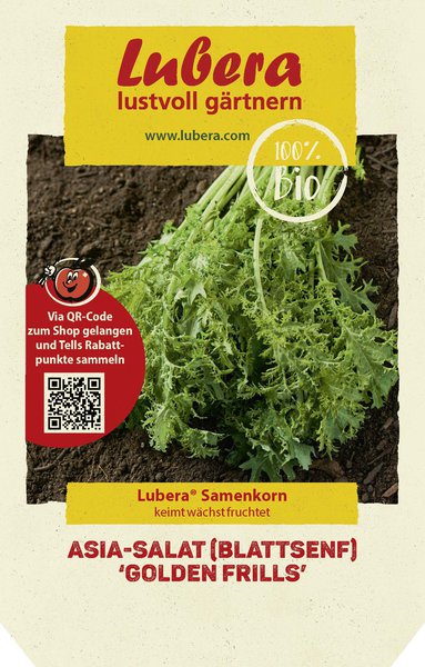 Asia-Salat (Blattsenf) 'Golden Frills'