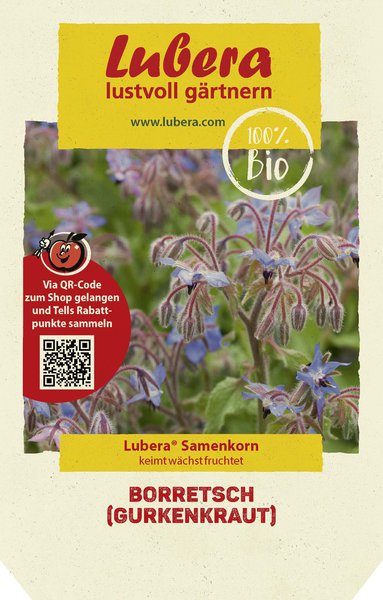 Borretsch (Gurkenkraut) Samen