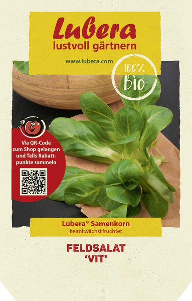 Semer des salades