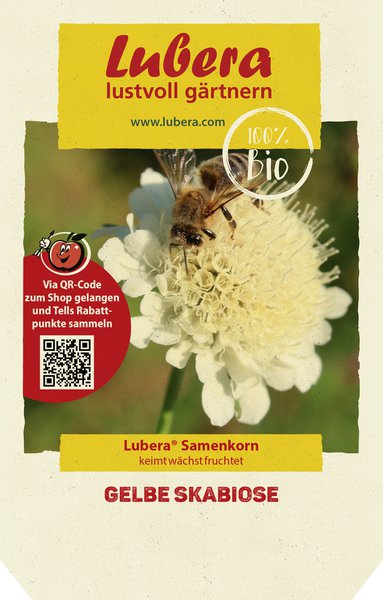Gelbe Skabiose