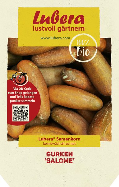 Gurken 'Salome' Samen