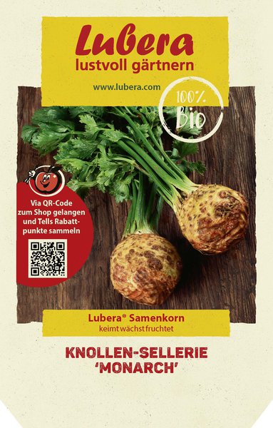 Knollen-Sellerie 'Monarch'