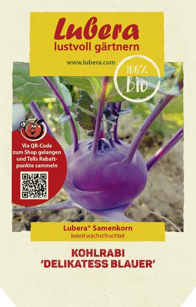 Kohlrabi 'Delikatess blauer'