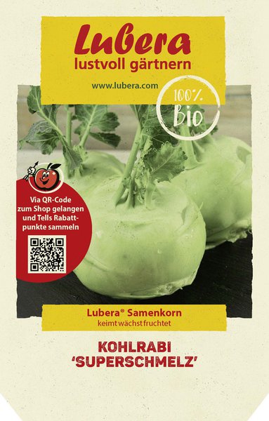 Kohlrabi 'Superschmelz'