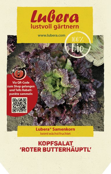 Kopfsalat 'Roter Butterh�uptel'
