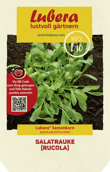 Salatrauke (Rucola) Samen