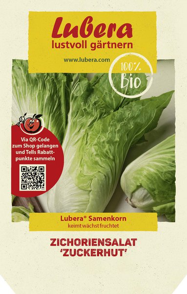 Salade de chicor&eacute;e, laitue &agrave; semer, Semer des salades