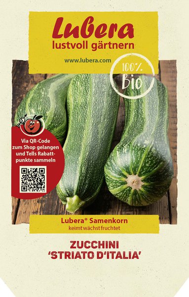 Zucchini 'Striato d'Italia'