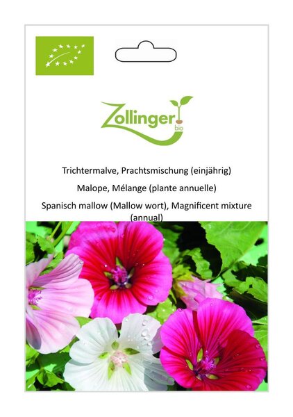 Trichtermalve, Prachtsmischung (einj�hrig)