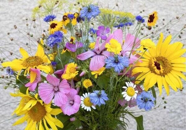 M&eacute;lange pour abeilles, Nectar plus