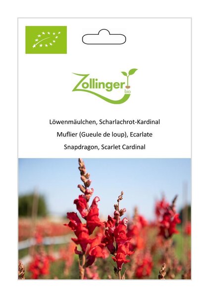 L�wenm�ulchen, Scharlachrot-Kardinal
