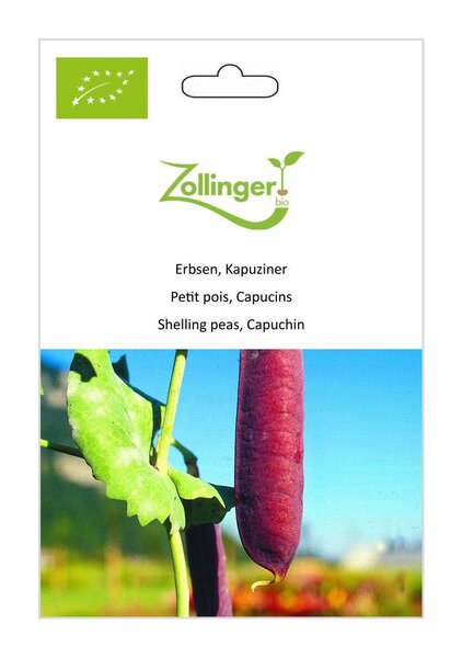 Erbsen, Kapuziner