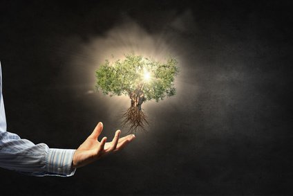 Baobab