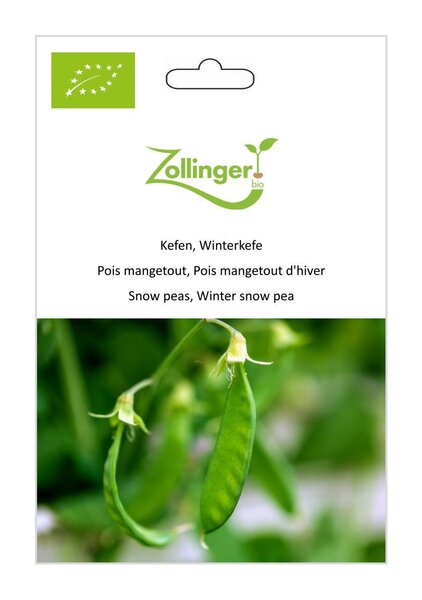 Kefen, Winterkefe