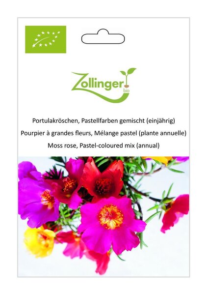 Portulakr�schen, Pastellfarben gemischt (einj�hrig)