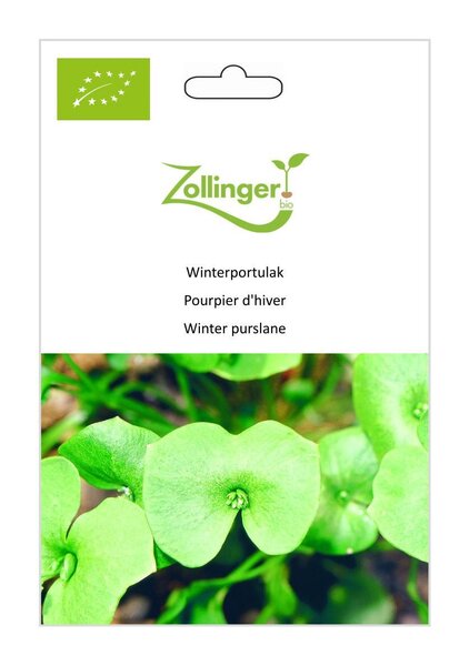 Winterportulak