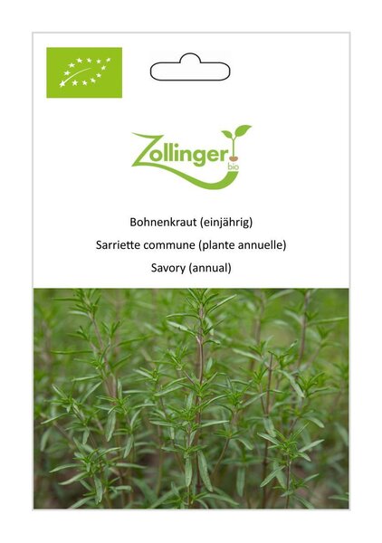 Bohnenkraut (einj�hrig)