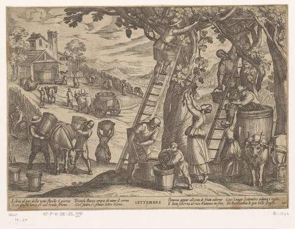 Cultiver la vigne, l'artiste toscan Antonio Tempesta (1599), Rijksmuseum Amsterdam. T&eacute;l&eacute;charg&eacute; depuis Wikicommons, copyright : domaine public.