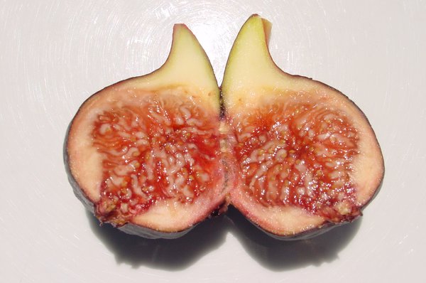 Figue Negronne Lubera
