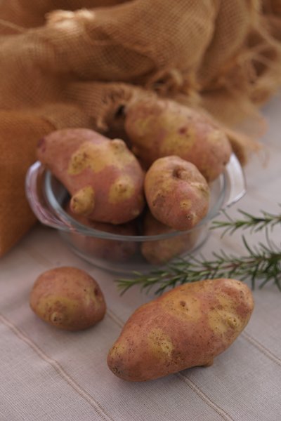 Kartoffel Revoluzzer� 'YingYang'�, Solanum tuberosum