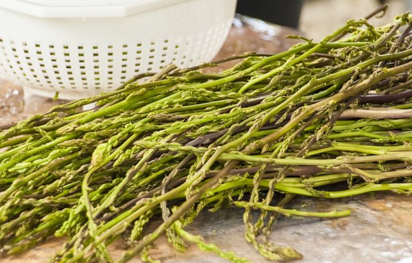 Cultiver l'asperge, Lubera, asperge sauvage, Asparagus acutifolius, Cultiver des asperges