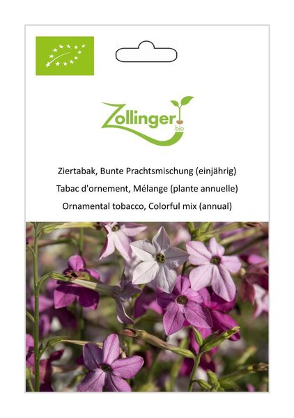 Ziertabak, Bunte Prachtsmischung (einj�hrig)