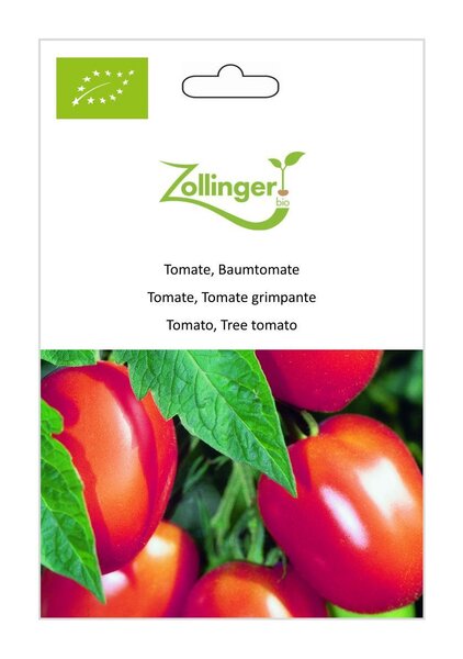 Tomate, Baumtomate