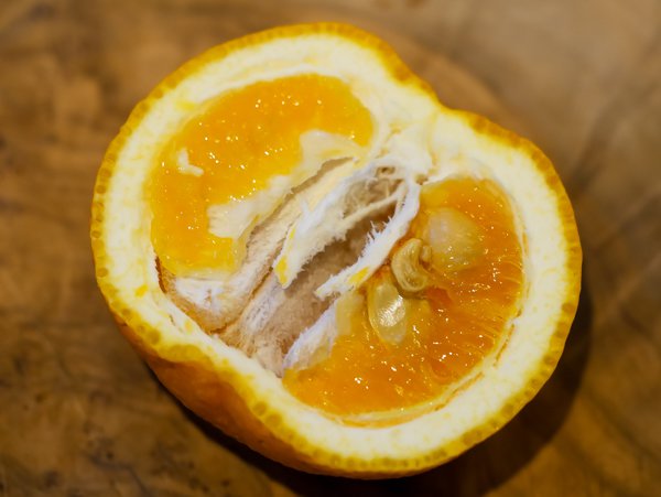 Arbre yuzu