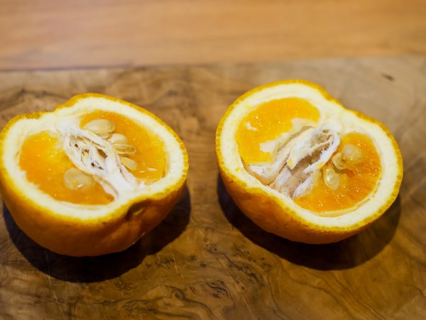 Arbre yuzu